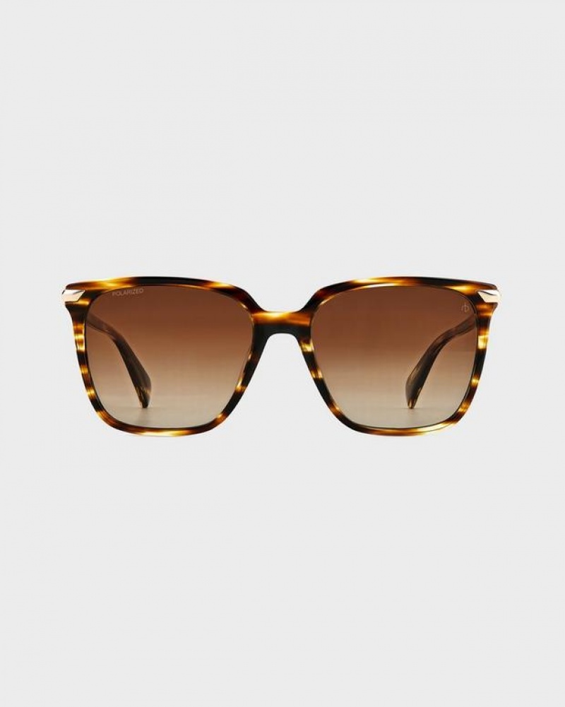 Rag & Bone Erin Butterfly Sunglasses Horn Brown | 63150BRGC