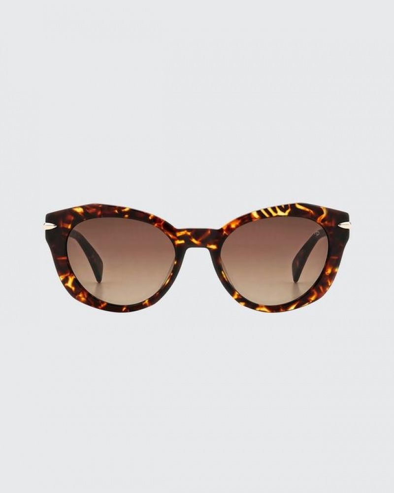 Rag & Bone Lily Square Sunglasses Havana | 92831JXTK