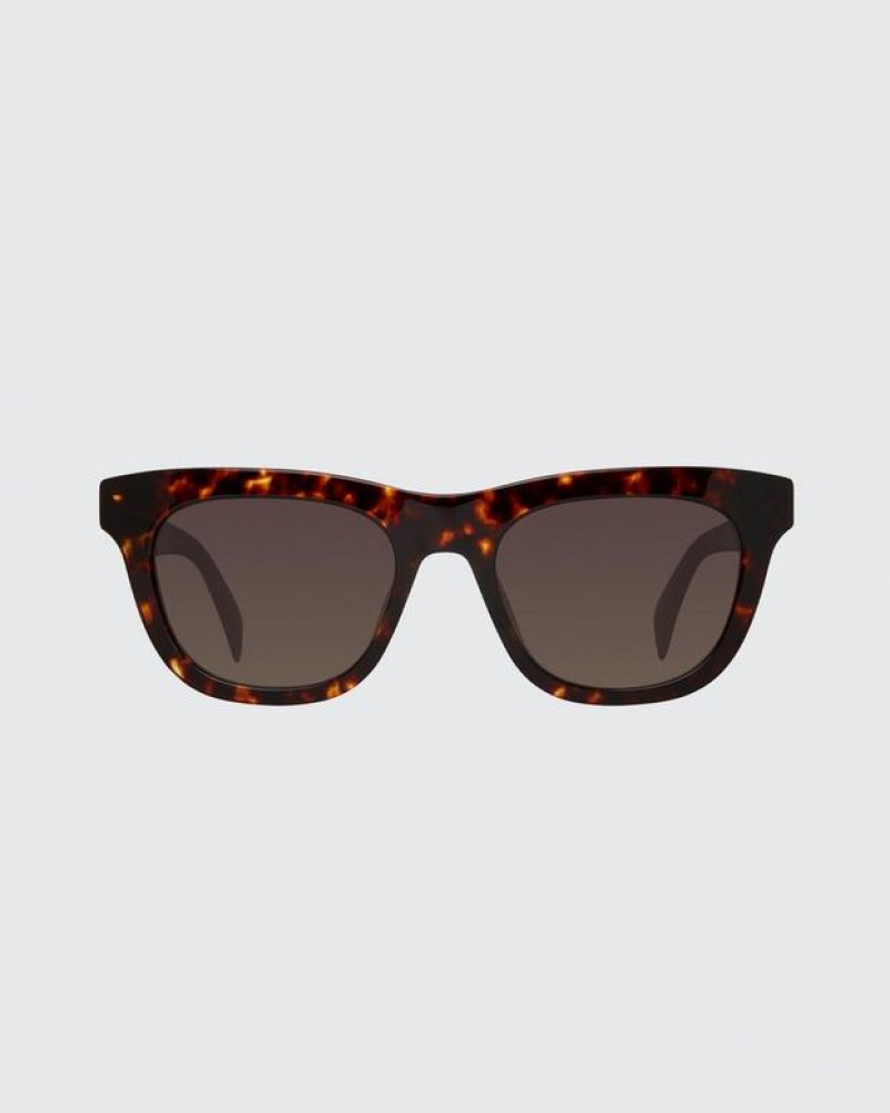 Rag & Bone Perry Square Sunglasses Havana | 46532WCJP