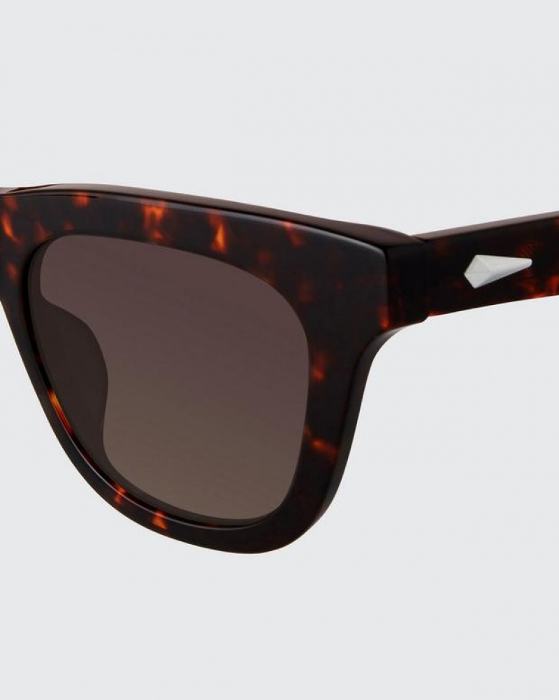 Rag & Bone Perry Square Sunglasses Havana | 46532WCJP